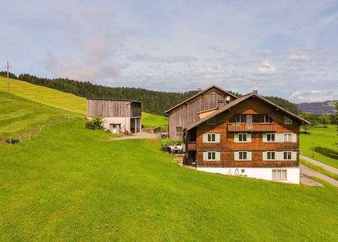 Hittisau Bauernhöfe, Landwirtschaft, Hittisau Forstwirtschaft