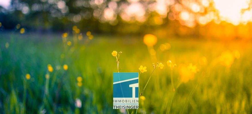 Grundstück Oberdolling, Theisinger Immobilien 