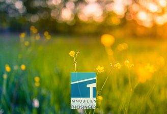 Grundstück Oberdolling, Theisinger Immobilien 