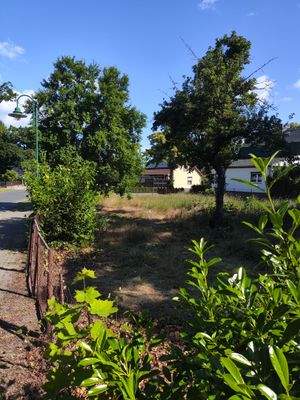 Blick zum Grundstück 1.jpg