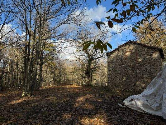 43C38D54-B4A5-4481-999F-1592AA0508A2_1_102_o