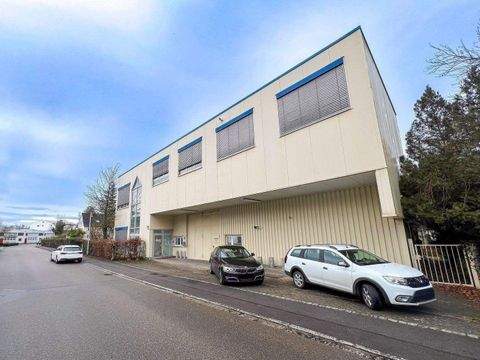 Weil am Rhein Halle, Weil am Rhein Hallenfläche