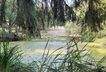 IMG_9993.jpeg
