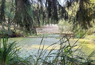 IMG_9993.jpeg