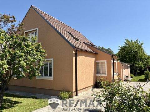 Judenau Häuser, Judenau Haus kaufen