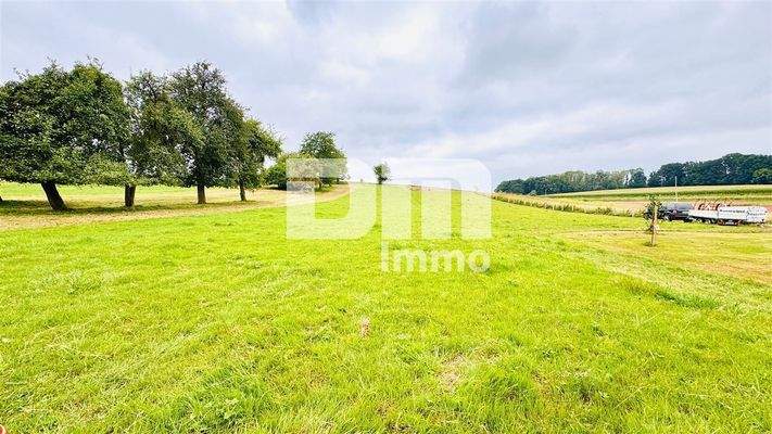 Großes Gartengrundstück