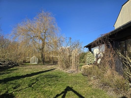 Außenanlage 5