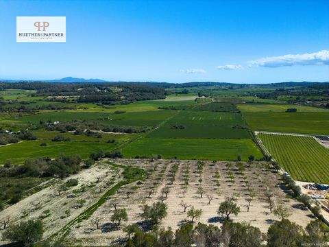 Montuiri Grundstücke, Montuiri Grundstück kaufen