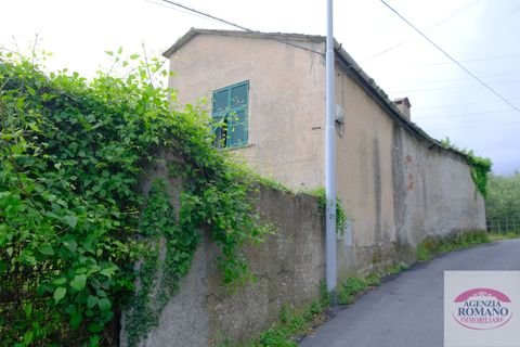GENOVA Häuser, GENOVA Haus kaufen