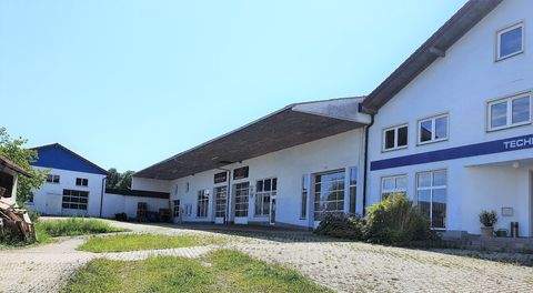 Falkenberg Halle, Falkenberg Hallenfläche