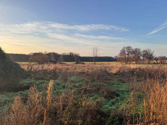 weiterer Teil vom Grundstück