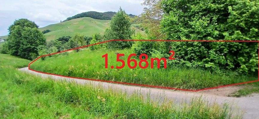 Ansicht von der Straße