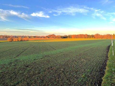 Gilgenberg am Weilhart Bauernhöfe, Landwirtschaft, Gilgenberg am Weilhart Forstwirtschaft