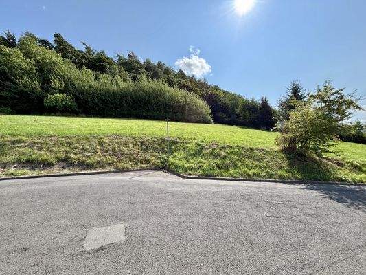 Blick von der Straße