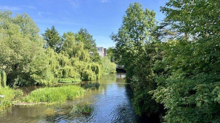 Impressionen der Umgebung