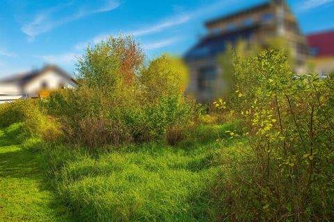 Dienheim Grundstücke, Dienheim Grundstück kaufen