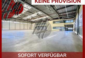 INFOS UNTER: 06171-586000