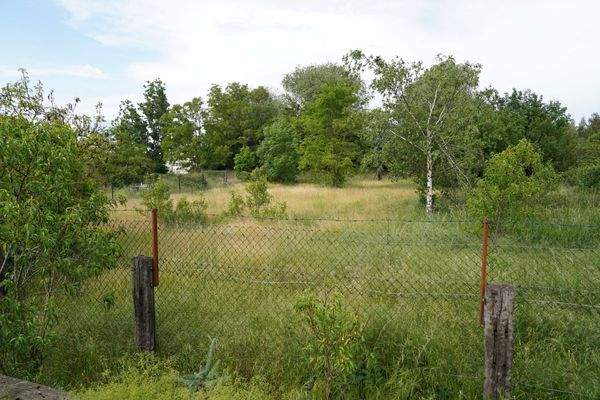 weitläufige Grünflächen