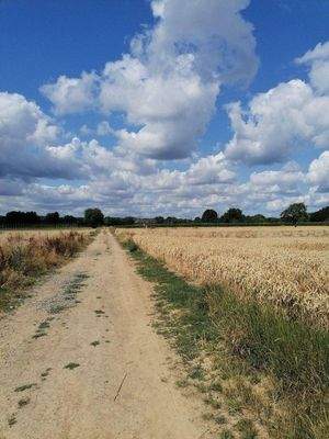 Die Felder hinter dem Haus