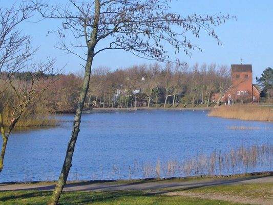 Idyllischer Dorfteich