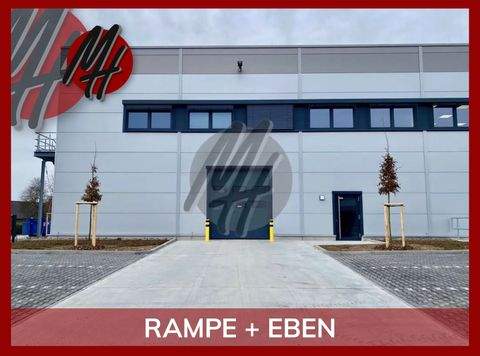 Langenselbold Halle, Langenselbold Hallenfläche