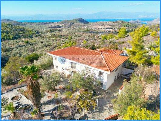 bac49097dfd14b938ba94bf5df106f33-original