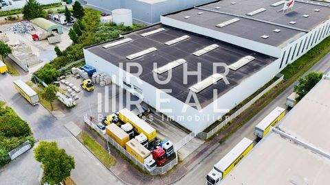 Krefeld Halle, Krefeld Hallenfläche