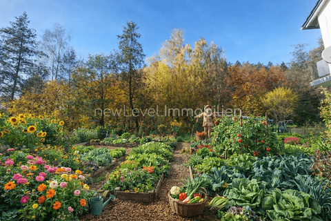 Winzer Häuser, Winzer Haus kaufen