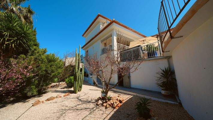 Pflegeleichter Garten