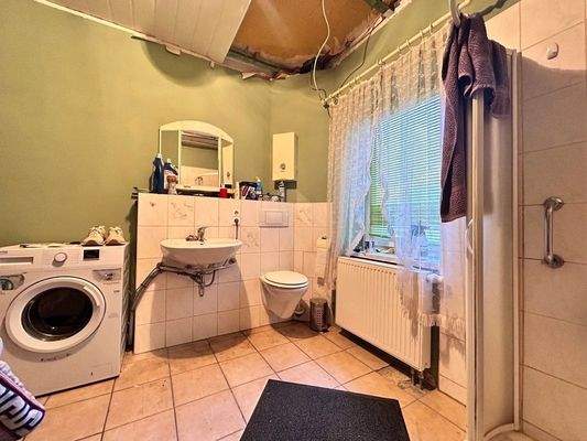 EG - Tageslichtbad mit Dusche