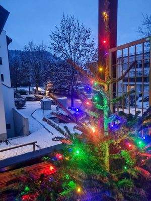 Weihnatliche Aussichten