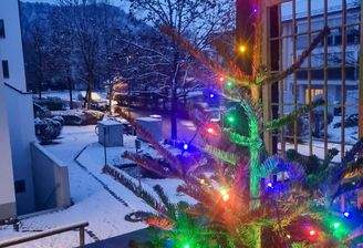 Weihnatliche Aussichten