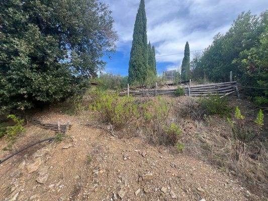 Grundstück Follonica