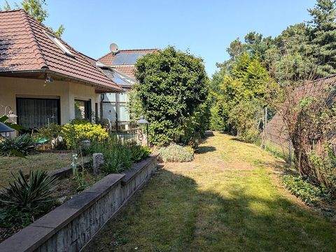 Kemberg Häuser, Kemberg Haus kaufen