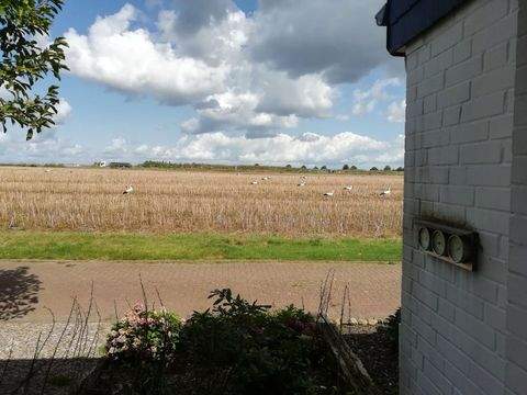 Wunstorf Häuser, Wunstorf Haus kaufen