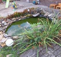 703c7b84-a27a-4987-99a1-8c6119d6ca9b-1943186976.jp