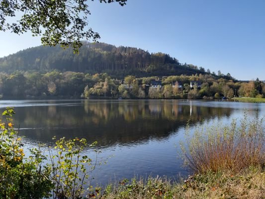 Fernblick zum Haus.jpg