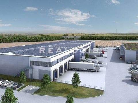 Darmstadt Halle, Darmstadt Hallenfläche