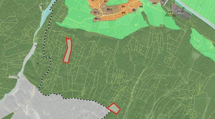 Flächenwidmungsplan