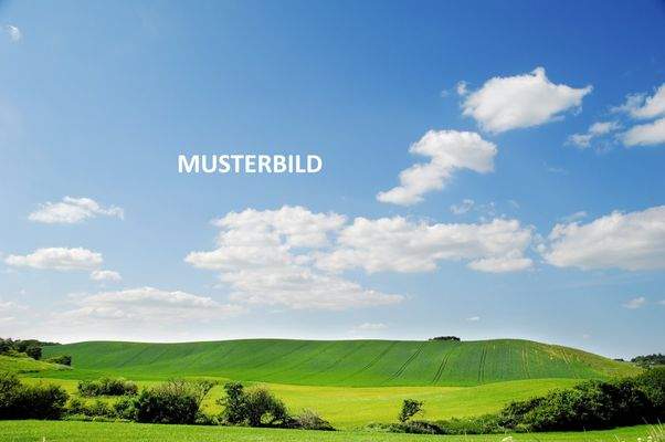 MUSTERBILD