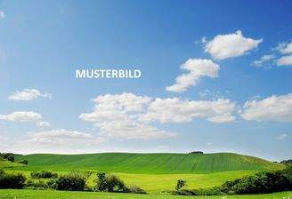MUSTERBILD