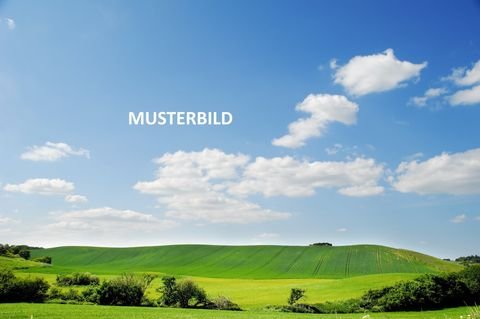 Finningen Bauernhöfe, Landwirtschaft, Finningen Forstwirtschaft