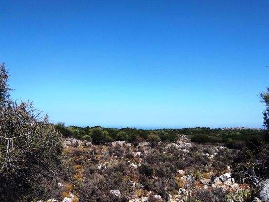 Kefalas: Abgelegenes Grundstück in Meeresnähe auf Kreta zum Verkauf