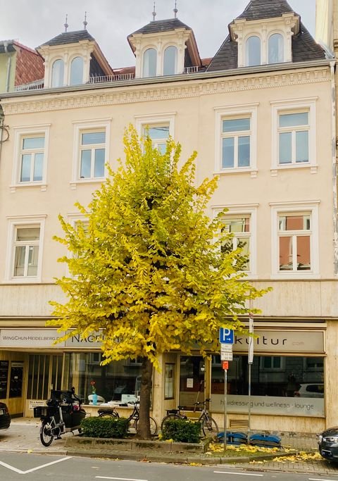 Heidelberg Ladenlokale, Ladenflächen 