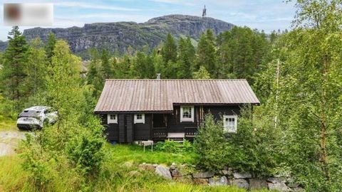 Seljestad / Langedalstølen Häuser, Seljestad / Langedalstølen Haus kaufen