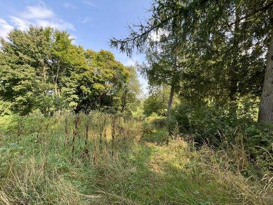 Naturgrundstück mit Baugrund und Halle