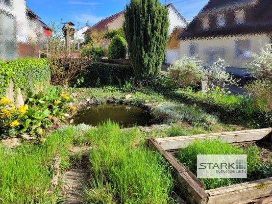 Außenansicht Garten 3.jpg