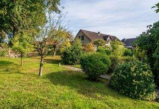 Schöner Garten
