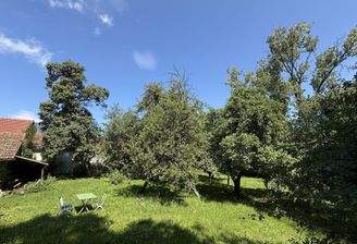Obstgarten