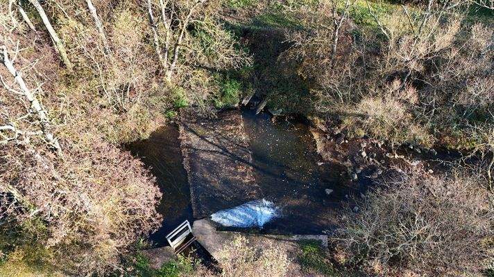 Bachlauf hinter dem Grundstück